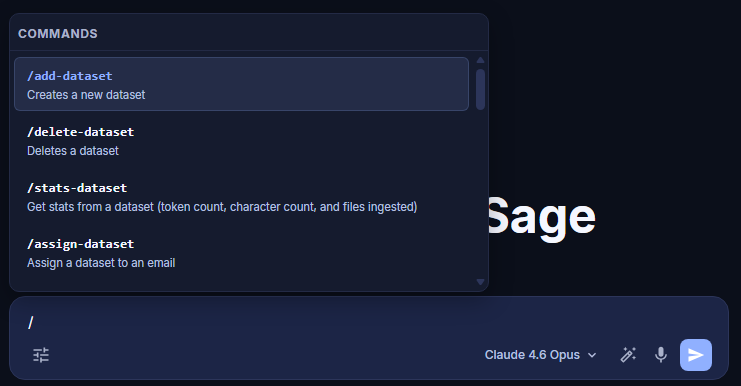 Dataset commands interface in Ask Sage