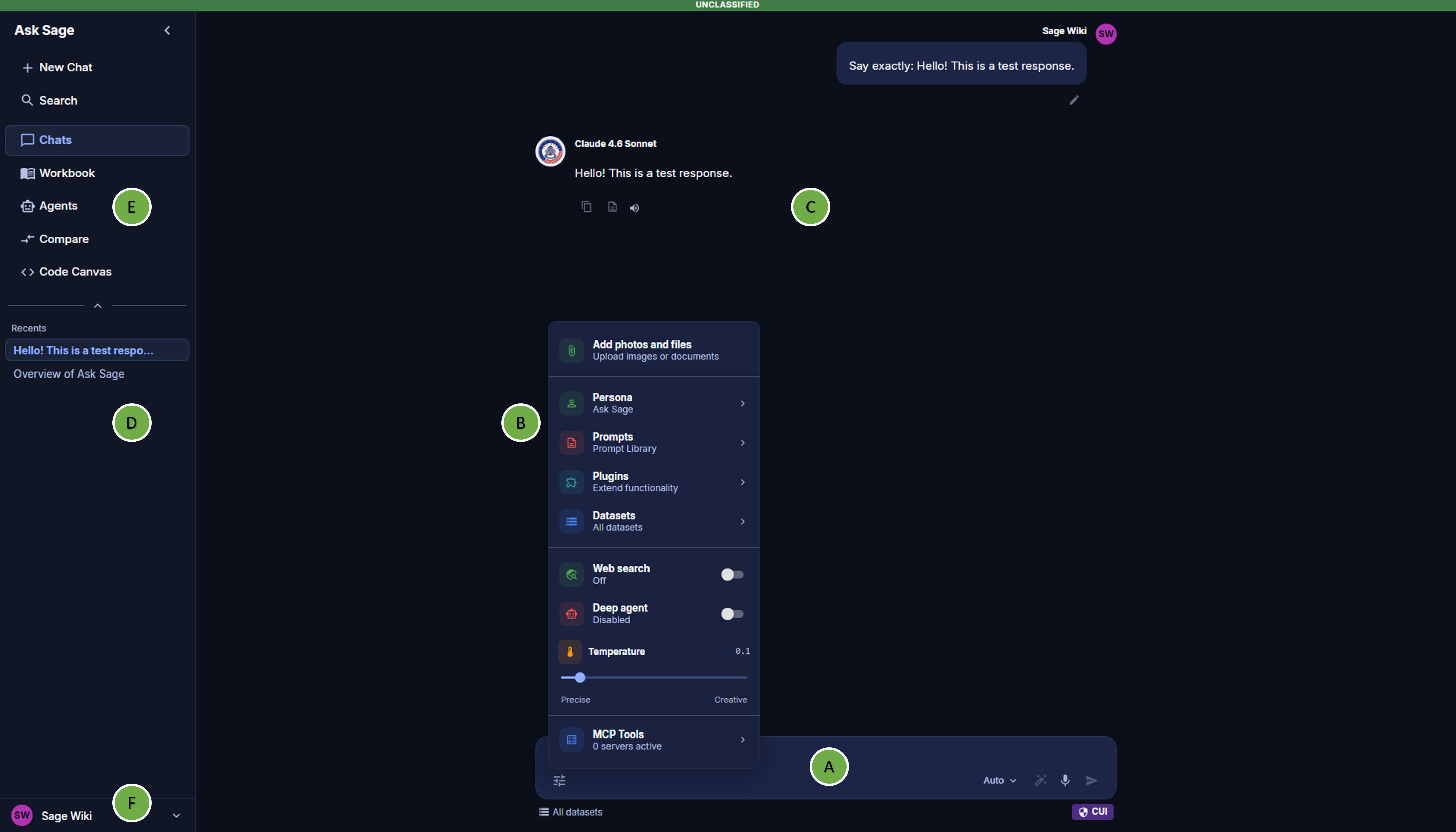 Ask Sage User Interface Overview