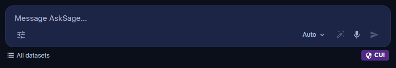 Ask Sage Prompt Window Interface