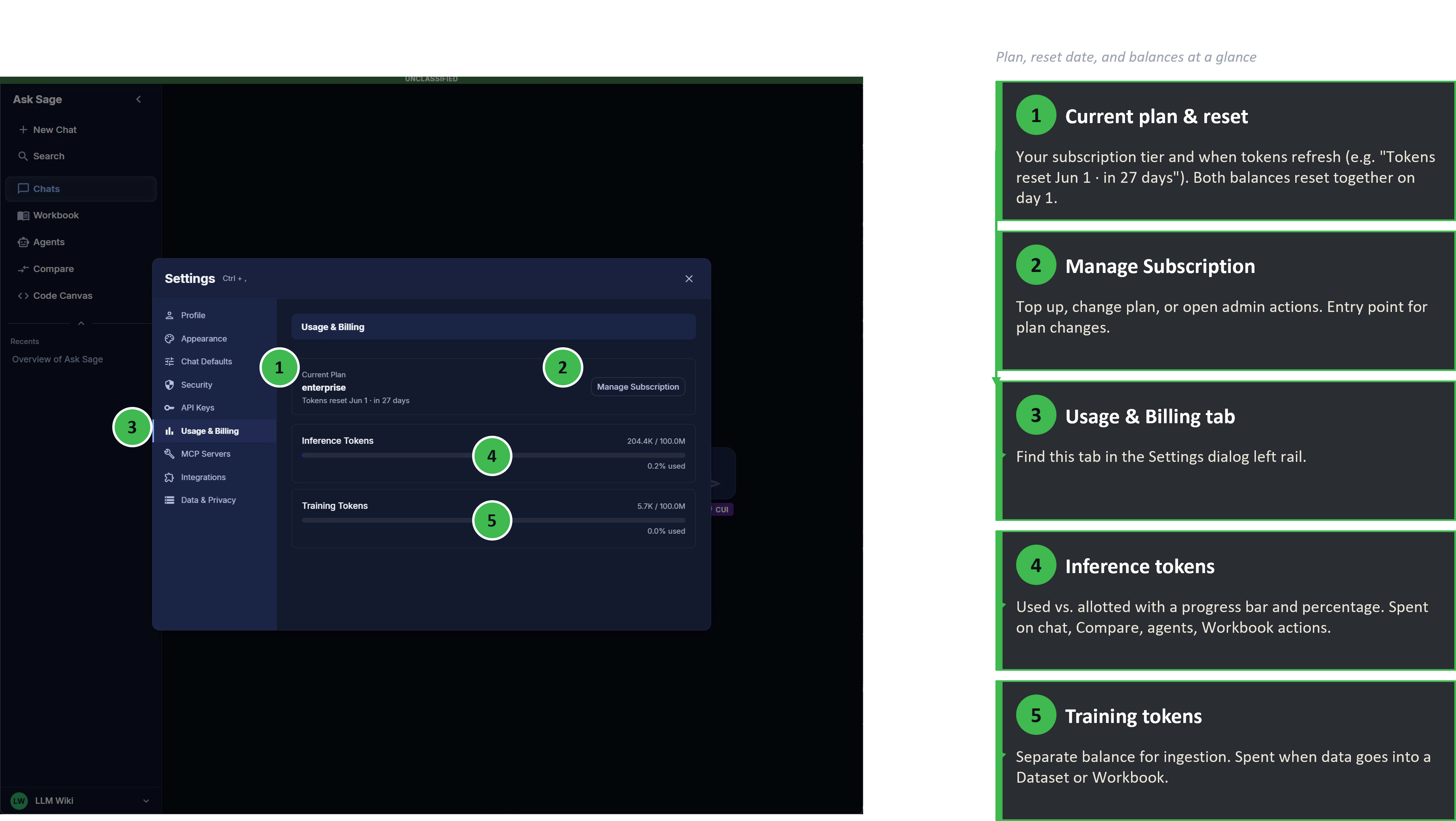 Usage & Billing tab showing plan, reset date, inference and training token balances