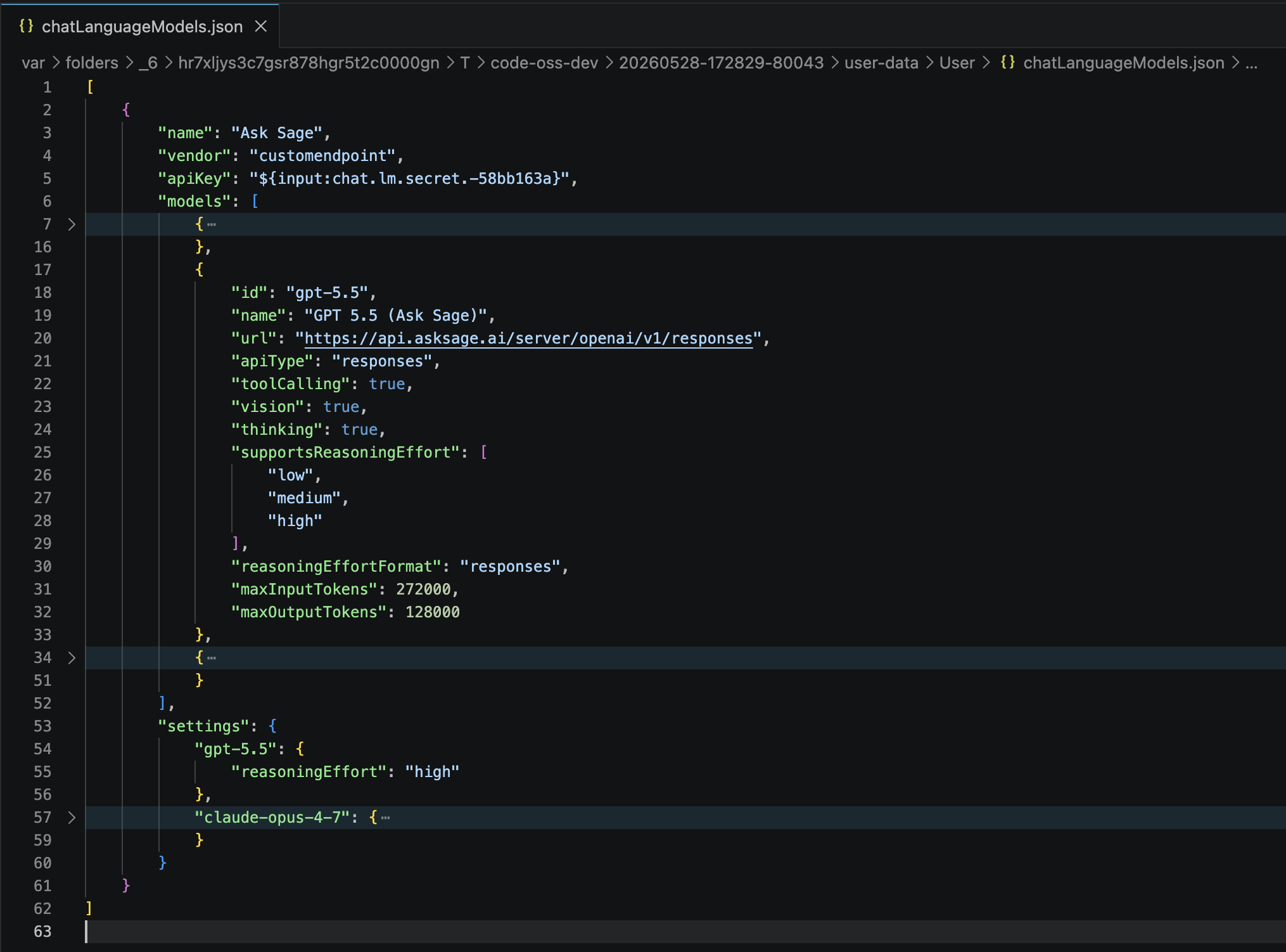 VS Code starter chatLanguageModels.json